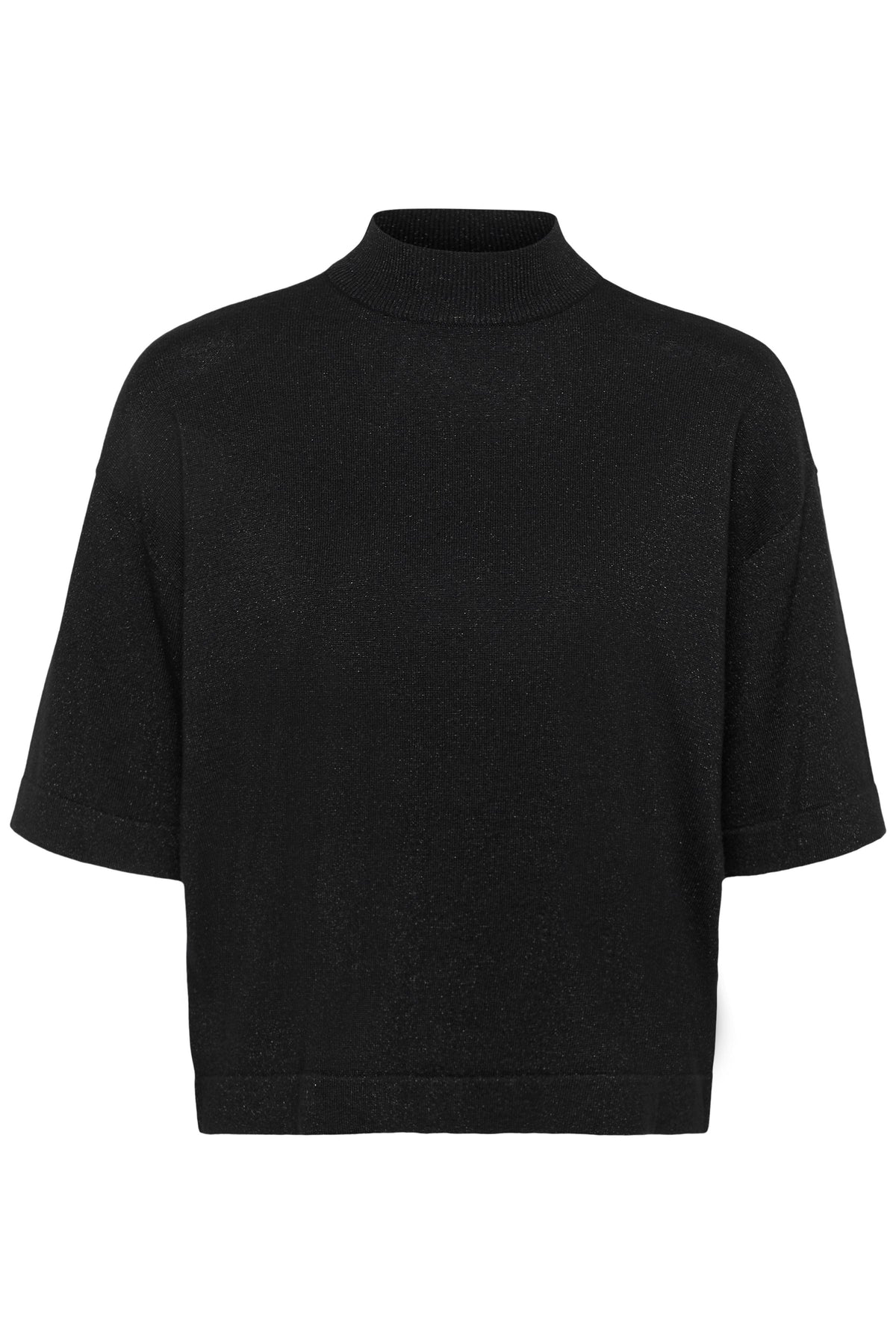 KAREGINA TURTLENECK PULL zwart