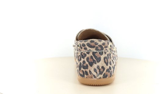 DWRS LATTY leopard