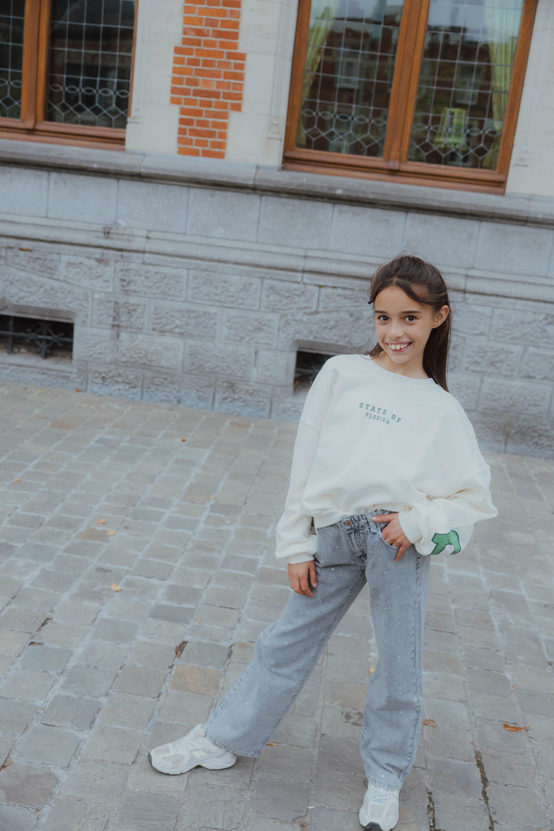 NKFROSE RHINE JEANS 3366 grijs