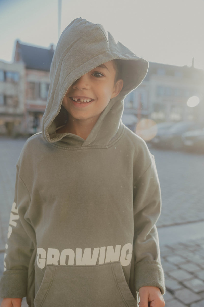 NKMOSIVAS HOODIE groen