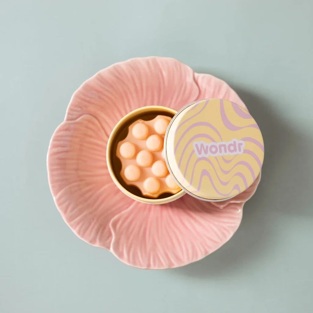 WONDR TRAVEL CASE
