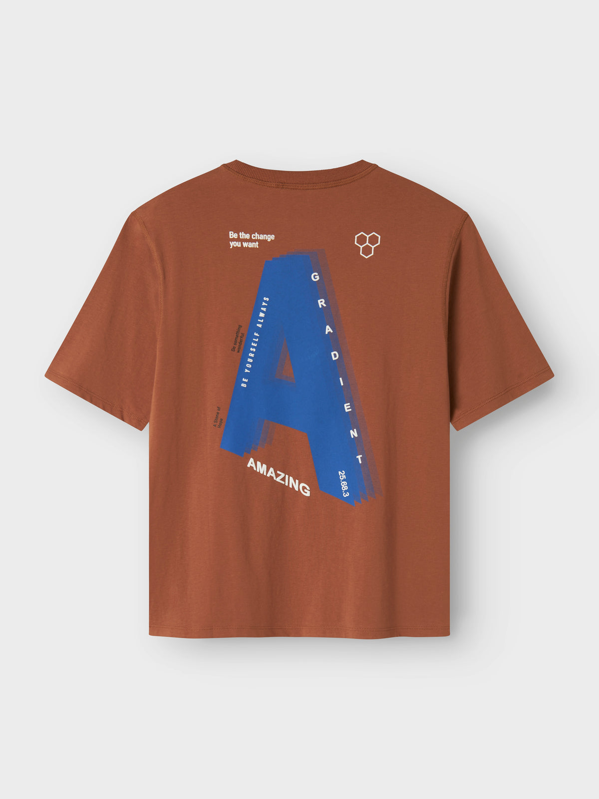 NKMOAKLEY SHIRT bruin