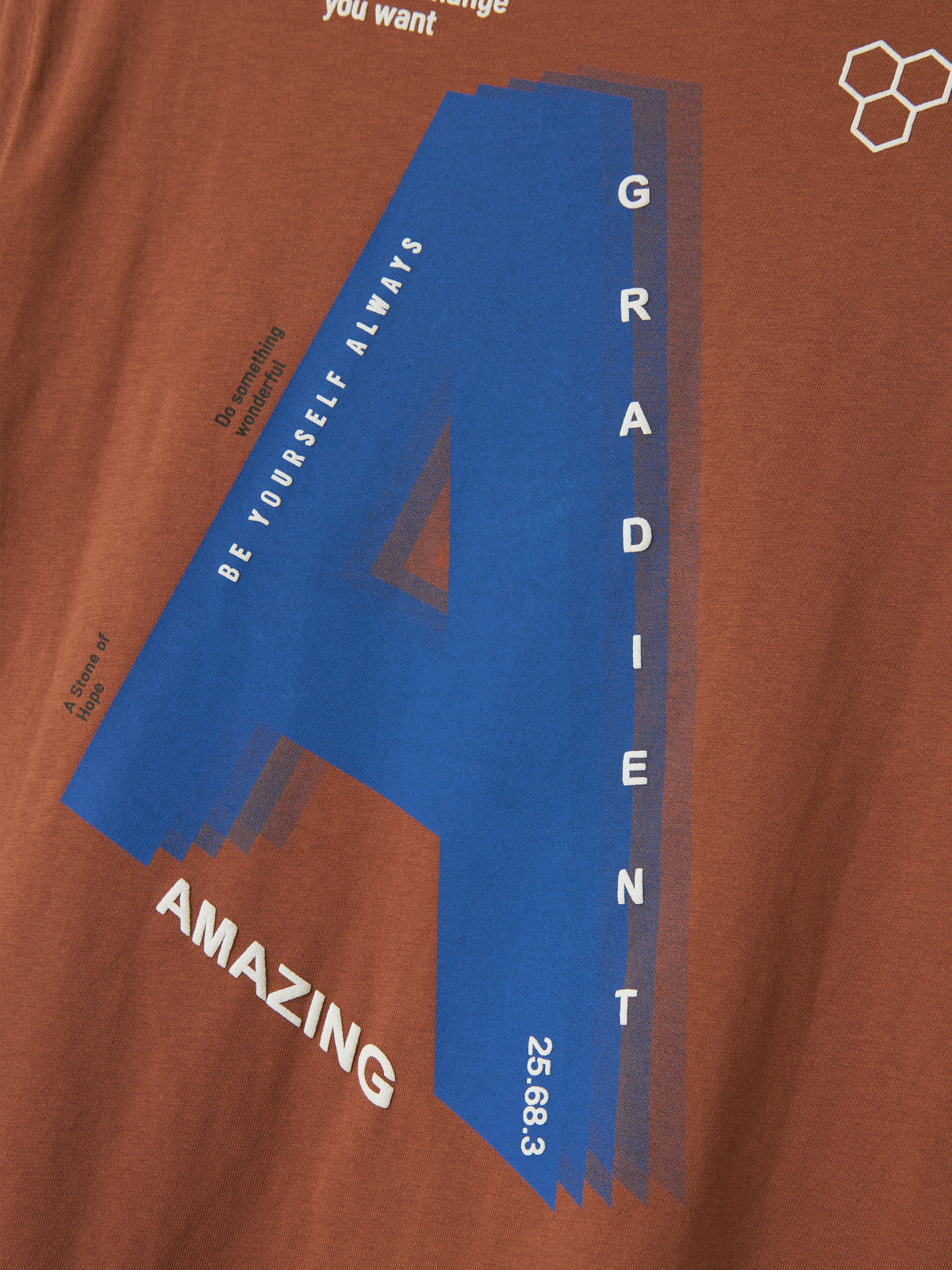 NKMOAKLEY SHIRT bruin