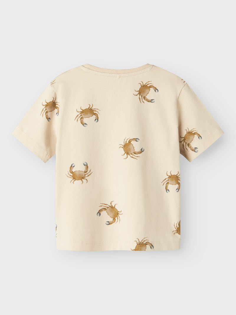 NMMFILLE TOP bruin
