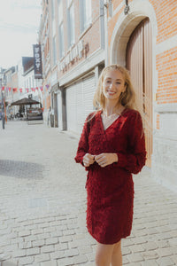 OBJDARIA DRESS rood