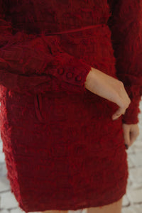 OBJDARIA DRESS rood