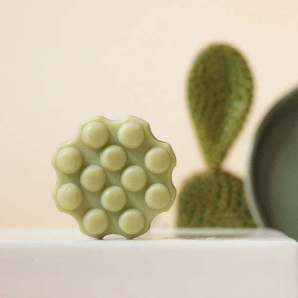 SHAMPOO BAR refresh cactus